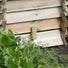 Beehive 211 Litre Wooden Compost Bin