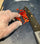 Glovelee Extra Large Compostable Gloves