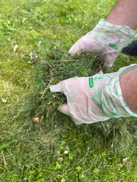 Glovelee Medium Compostable Gloves