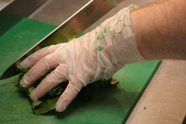 Glovelee Large Compostable Gloves