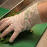 Glovelee Large Compostable Gloves